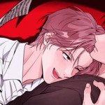 밤은 부드러워라